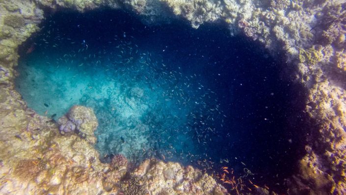 Blue Hole Baa Atoll Baa Atoll Maldives Snorkelling