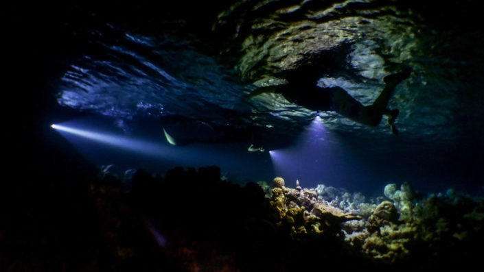 Night Snorkelling Maldives