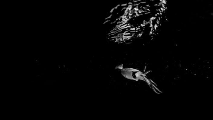 Night Snorkelling Maldives